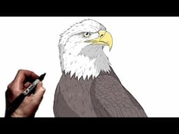How To Draw A Bald Eagle | Step BY Step