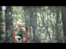 5 Most Disturbing Videos from Around the Internet...