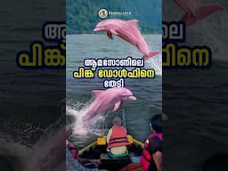 ആമസോണിലെ പിങ്ക് ഡോൾഫിനെ തേടി 😱 #amazon #pinkdolphin #amazonriverdolphin