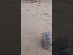 Leaving Footprints for a Lifetime