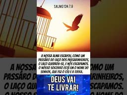 DEUS VAI TE LIVRAR!