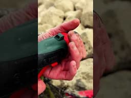 Clean it till it shines – Picked by the internet