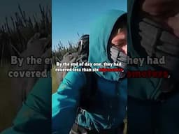 Buddies' Canadian River Expedition Goes Bad