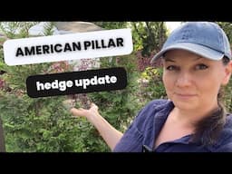 🌲 3 Years Later: How Fast Did These Arborvitae Really Grow? Other Backyard Updates 🌲