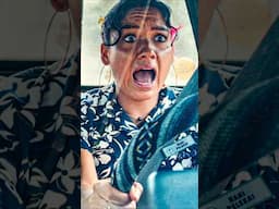 Stitch Causes Absolute MAYHEM In The Car 😂