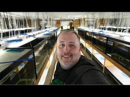 www.dansfish.com Tour! It's Huge and It's Awesome!