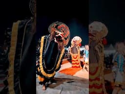 Barong Turonggo Seto Blitar Batam  #jaranan #shortvideo #jaranan
