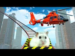 Hamster in Roller Coaster Mazes in Minecraft & Big City