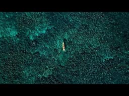 Alex Schmitt: 2025 Adventure Reality TV Film Reel