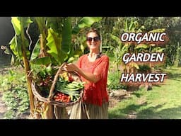 SELF-SUFFICIENT in the UK - BEAUTIFUL Dinner HARVEST - Tips & Prep Ideas