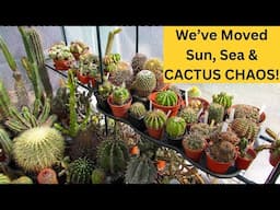 We've Moved - Sun, Sea & CACTUS CHAOS!