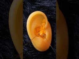 #asmr Cleaning your beeswax ears