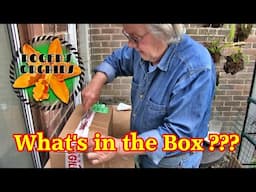 A Surprise Unboxing
