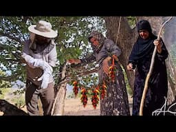 Fariba's traditional methods for drying pepper