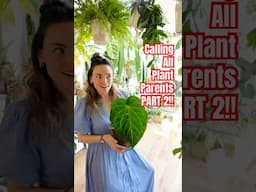 Hey plant parents! Tag me in yours 🌿 #houseplants #plantcommunity #plants #gardening #indoorplants