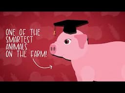 I Wonder Can Pigs Be Trained | Animal Facts for Kids | Pigs Facts | Fun Pigs Facts for Kids | Pigs