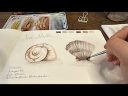 Watercolor Journal Day 196 (Sea Shells)