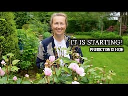May Garden TOUR 🏡: new Constructions, COZY corners🪴