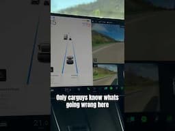 If you only could understand #carguy #tesla #viralvideo