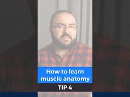 How to learn muscle anatomy - tip 4