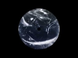 Feral - Hallucinated [SENSE003]