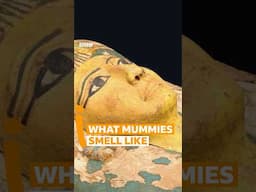This is what a mummified body smells like 👃 | BBC Ideas #Shorts