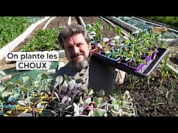 [VLOG] Fin avril au potager : Rempotage des TOMATES et plantation des CHOUX