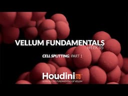 Vellum Fundamentals - Week 5: Cell Splitting Part 1