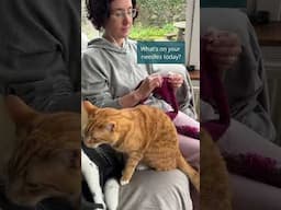 What's currently on your knitting needles? Share your WIPS!
