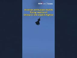 Aviation enthusiast builds flying replica of China's J-20 stealth fighter