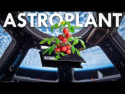Would You Eat a Plant from Space?