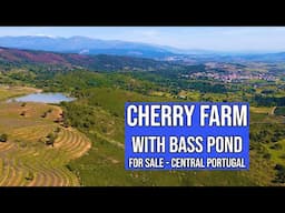 CHERRY FARM WITH BASS POND FOR SALE - FUNDAO €65,000 (OFF-GRID SOLAR SYSTEM INCLUDED)