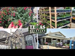 HEB, Lowes & Calloways March Plant Shopping! ALL The Pretties are HERE!