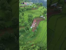 Angkhop Village and the green fields!