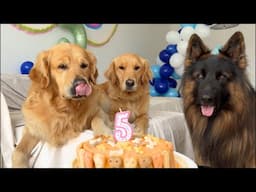 LIVE: Surprising My Dog with a Birthday Party for His 5th Birthday! 🎉