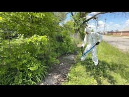I Took a RISK Cleaning This Yard and Could’ve Ended Up in the Hospital