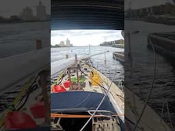 The moment I returned home after sailing thousands of NM single handed #sailing #liveaboard