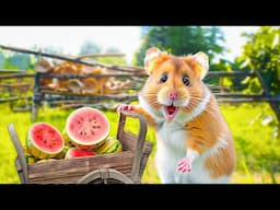Hamster Escapes from the Most Exit-Filled Farm Maze Ever | Hamster Maze