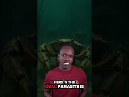 There's a parasitic barnacle that controls crabs. Truth or Trash Episode 214 #biology #science #stem