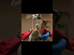 Krypto Gets Fixed | Robot Chicken #comedy #robotchicken #shorts