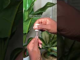 The Perfect Nude Natural Nails (no uv lamp) 💅🏾 #youtubebloomingbeauty