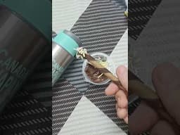 waffer snack 😋 #asmr #asmreating #waffer #choclate #eating #shorts