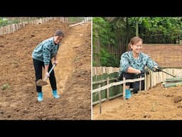 10 Days How to Create a Garden for Beginners | Garden Tiểu Hoa