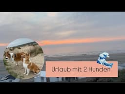 ENDLICH URLAUB | Packen und erster Tag | Haus am Meer 🌊