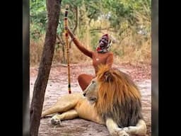 Playing with lions.