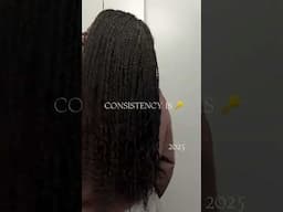MINI TWIST JOURNEY ✨ | #naturalhair #minitwists #minitwist #type4hair #naturalhairstyles #shorts