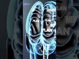 Boost Your Brain Power Through Spiritual Development #BrainPower #SpiritualDevelopment #mindfulness