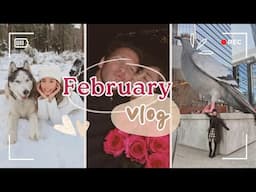 FEBRUARY VLOG: Big Bear, New York, Valentines & Galentines
