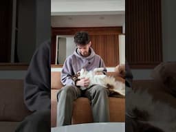 Are My Dogs Spoiled?