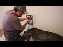 DIY Single Wide Bedroom Finishing and King Wall Heater Install with Honeywell Thermostat